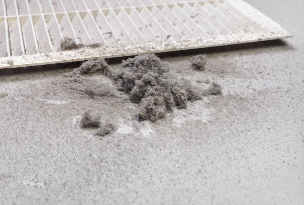 Best Professional Duct Cleaning Services  in Galveston, IN